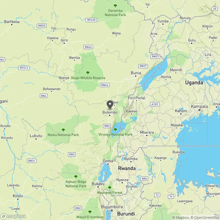Демократическая Республика Конго